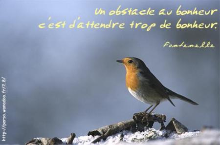 le bonheur